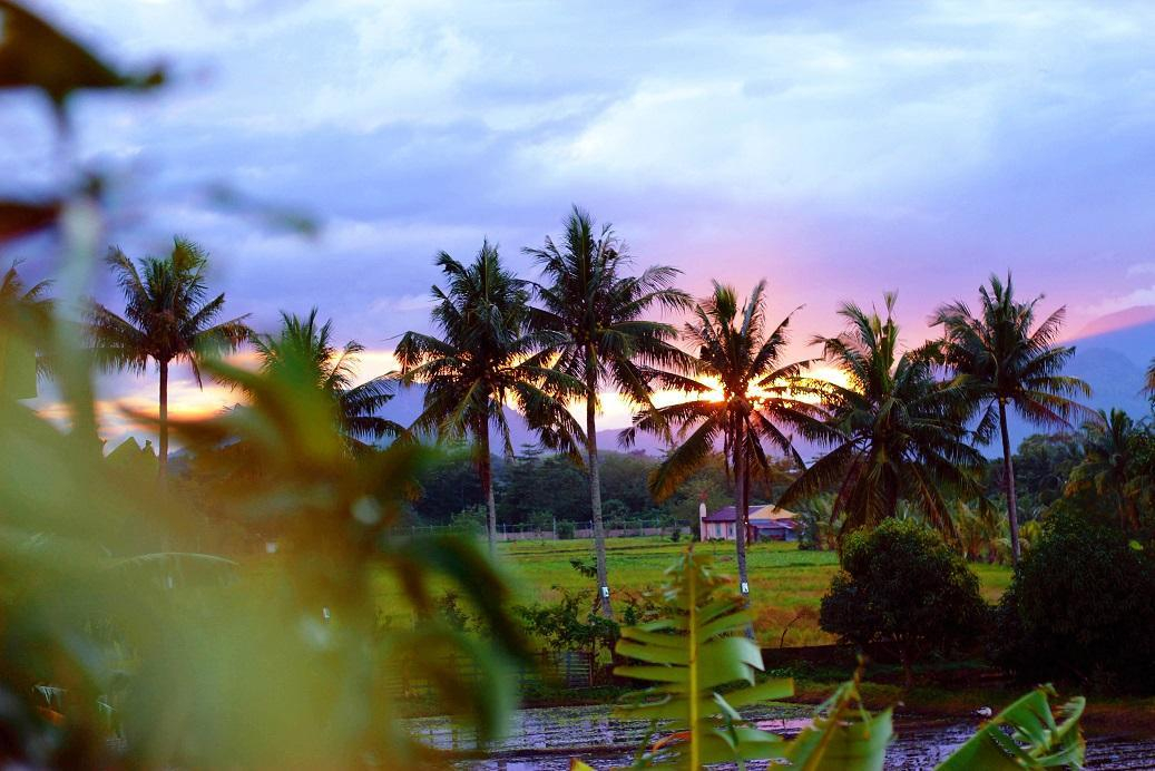 Exterior & Views 1, Cozy House for Couple in Calauan Laguna, Calauan