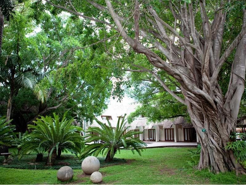 Pongola Country Lodge, Zululand