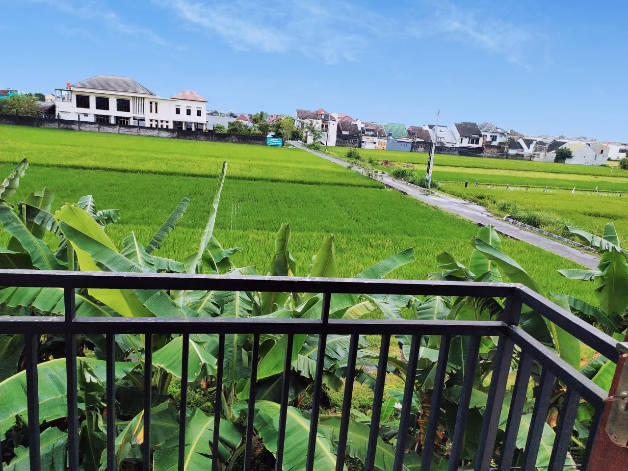 Artha Ambarukmo view sawah, Yogyakarta