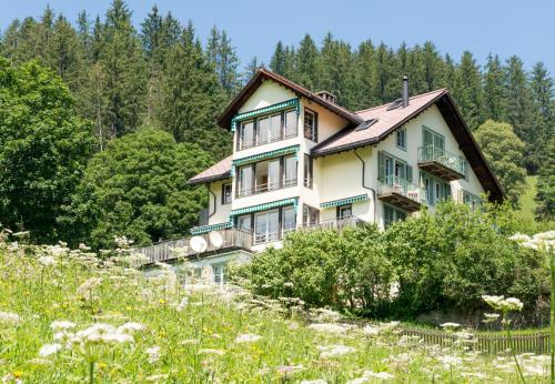 2, Chalet Hunnenfluh, Interlaken