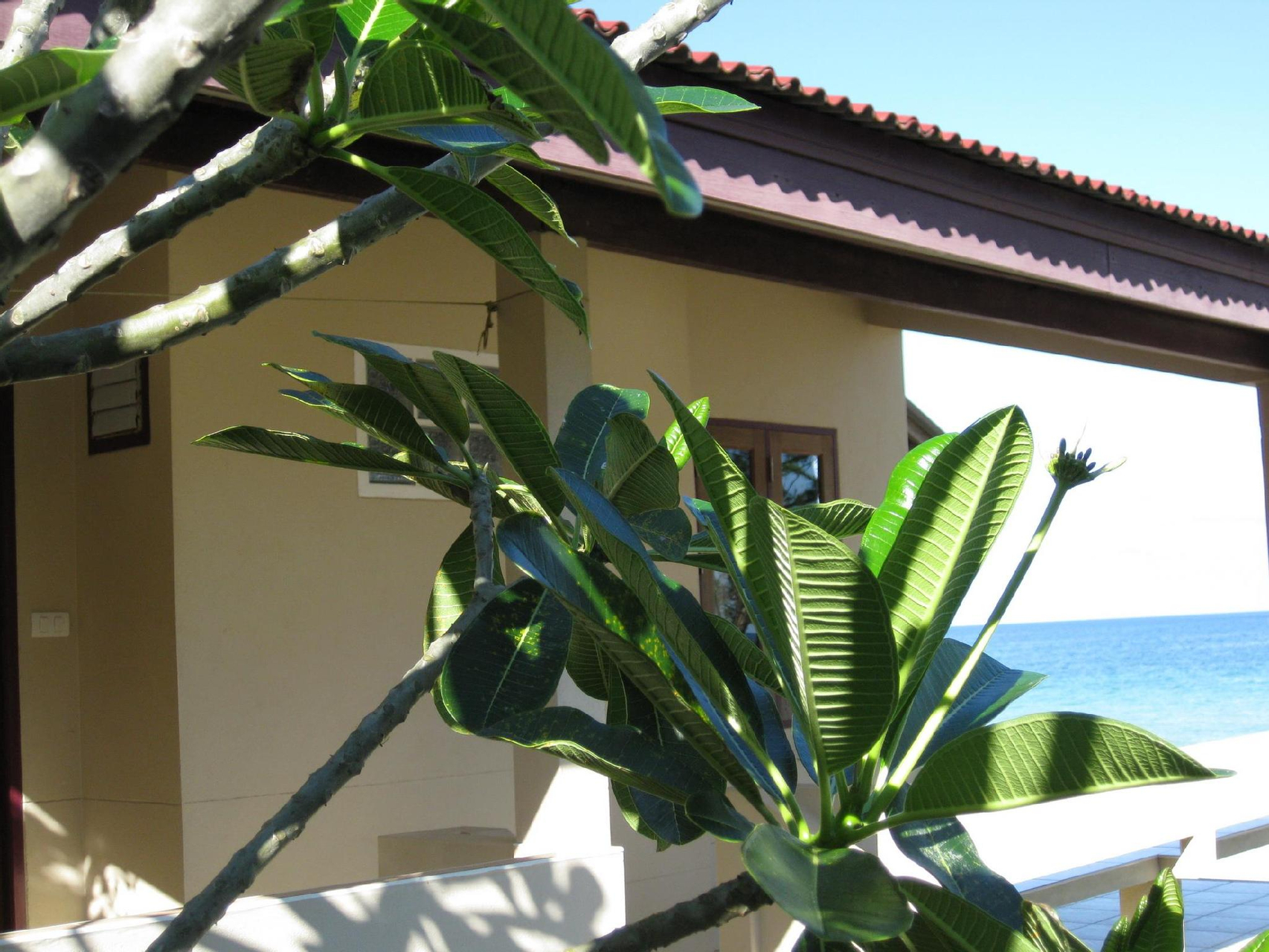 Clean Wave Resort, Pathiu