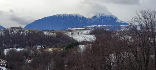 Others 4, Conacul Elenei, Poiana Marului