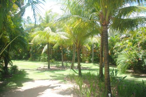 Garden 3, Casa Girassois, Tibau do Sul
