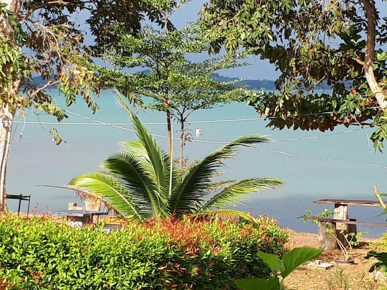 Others 5, Tree in the sea 4, Ko Lanta