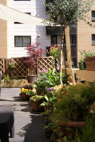 Balcony/terrace 5, Aloha Hostel, Navarra