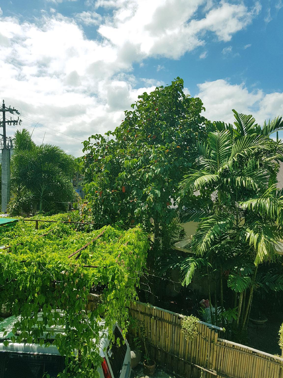 2, Sunny House in Calauan, Laguna, Calauan