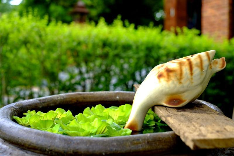 Food & Drinks 5, SawasdeeSukhothai Resort, Muang Sukhothai