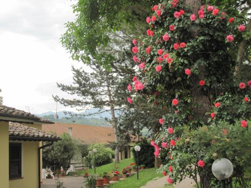 4, Valle degli Ulivi, Terni