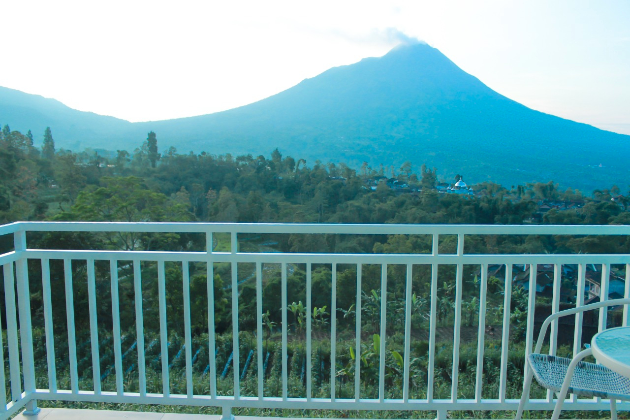 View 16