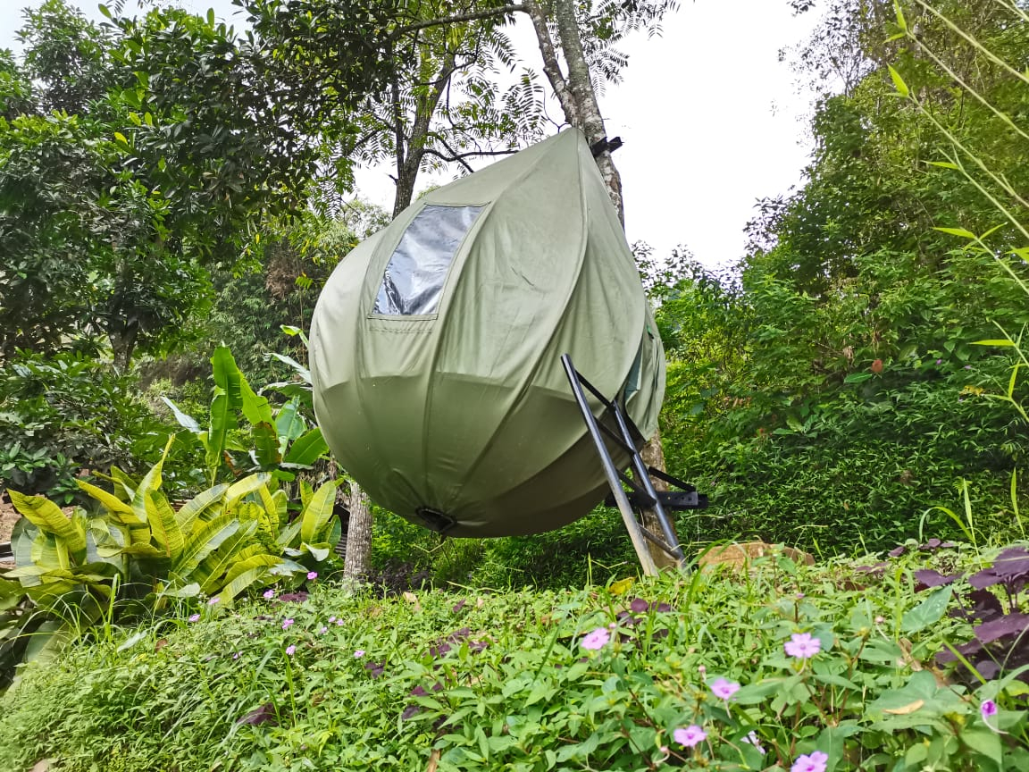 Kamar dengan Ranjang Kasur Lipat - Pemandangan Sawah