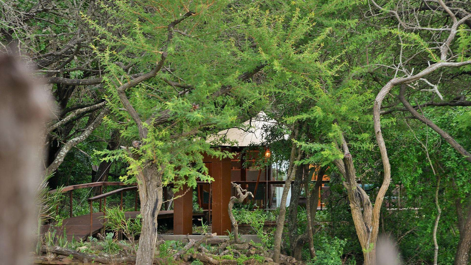 Exterior & Views 2, Nibela Lake Lodge by Dream Resorts, Umkhanyakude