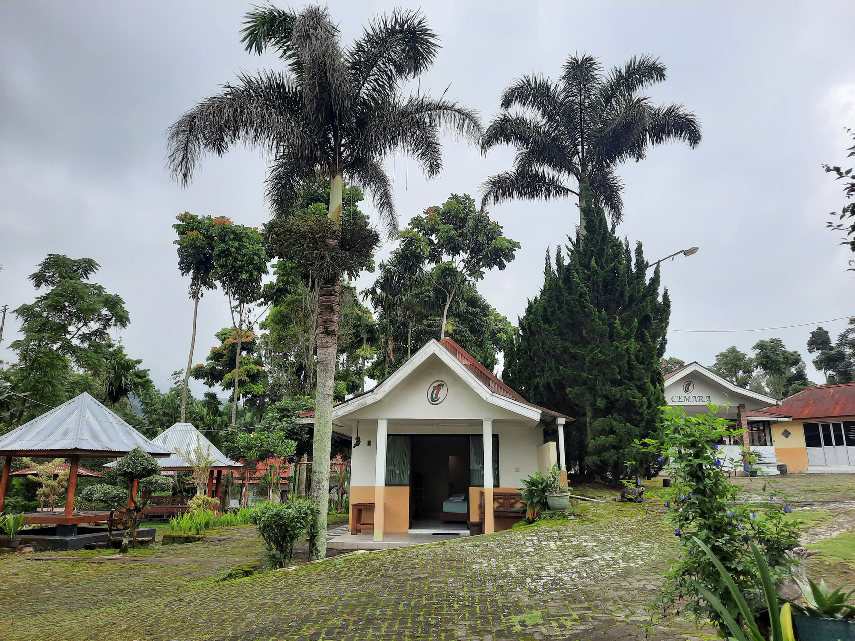 Exterior & Views 2, Cemara Tujuh Homestay & Resto, Wonosobo