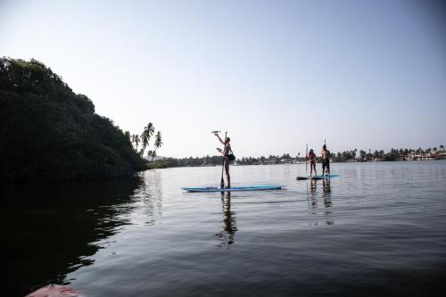 Baxar, Acapulco de Juárez
