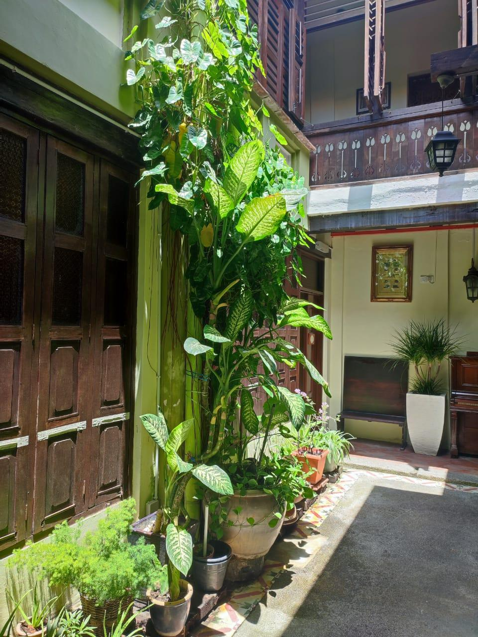 Cintra House, Pulau Penang