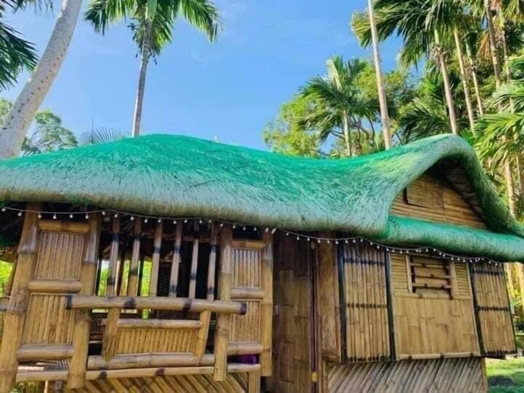 Rainbow Forest Paradise Resort and Camping Area by Cocotel, Tanay