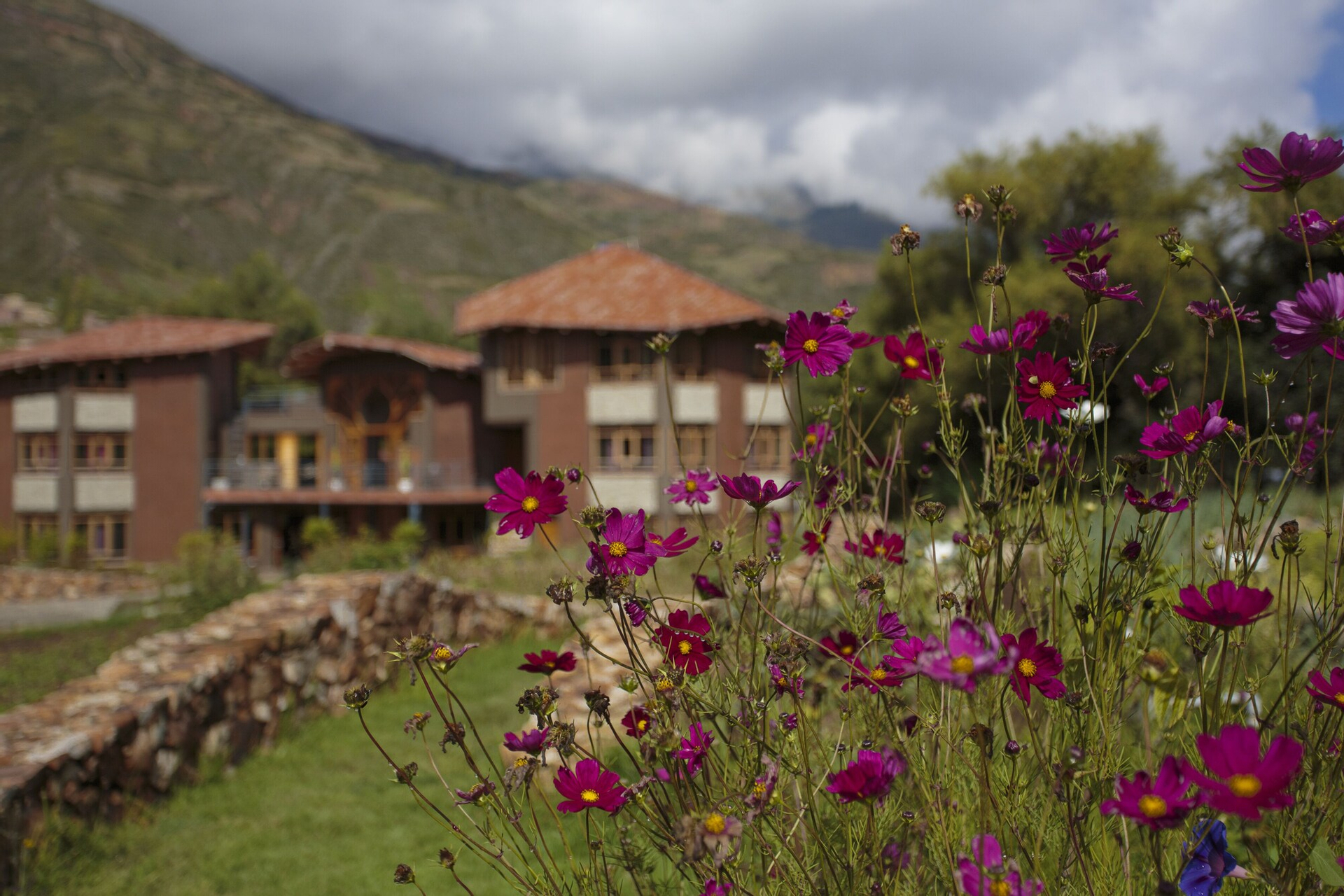 Fleur Lodge, Carhuaz