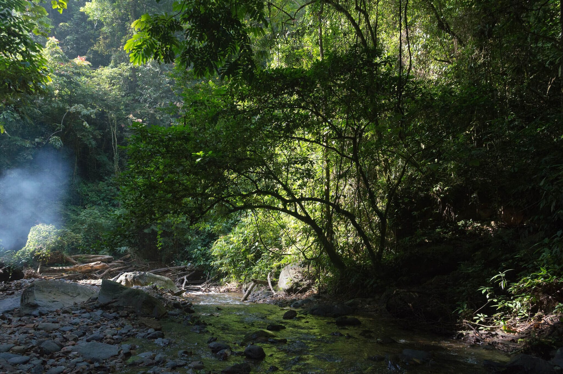Exterior & Views 4, Holiday Rental in Sumatra, Langkat