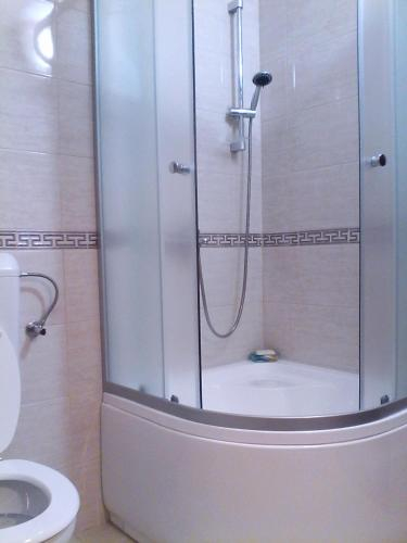 Bathroom 1, Pensiunea Kyfana, Zarnesti