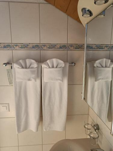 Hotel Adler, Thun
