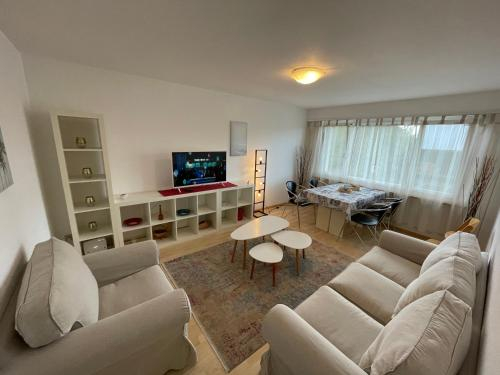 Guestroom, 3 Zimmer Apartment mit Balkon, Aarwangen