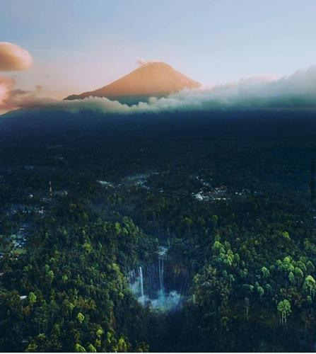 tumpak sewu guest house, Lumajang