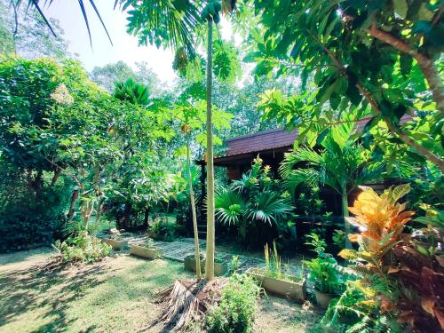 2, Kohmook Nurse House, Kantrang