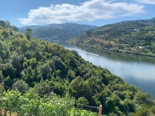 4, Douro Nest Houses, Resende