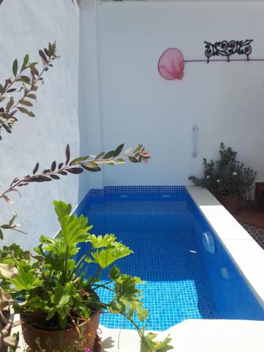 Others 4, Casa Clemente 32, Private house with plunge pool, Málaga