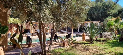 2, Les Trois Paons, Taroudannt