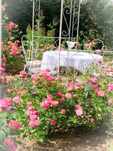 Others 4, Isabelle's Rosegarden, Redange