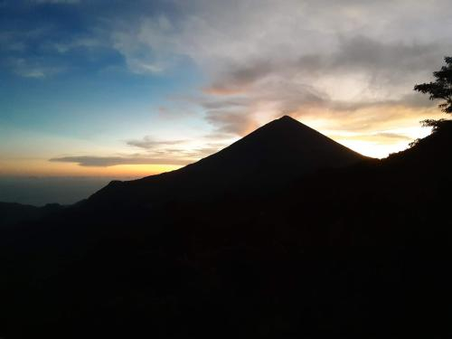 Surrounding environment, Manulalu Jungle, Ngada