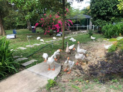 3, Durian Ecolodge, Tampin