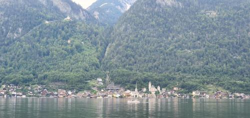 Exterior & Views 5, Ferienwohnung Brader, Gmunden