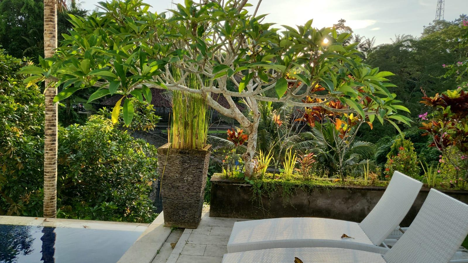 Sport & Beauty 2, Private one bed room pool valey, Gianyar