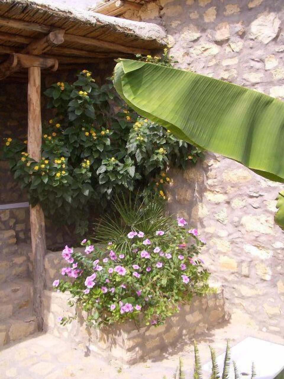 Terrace/patio 4, Les Terrasses de l Atlas, Taroudannt