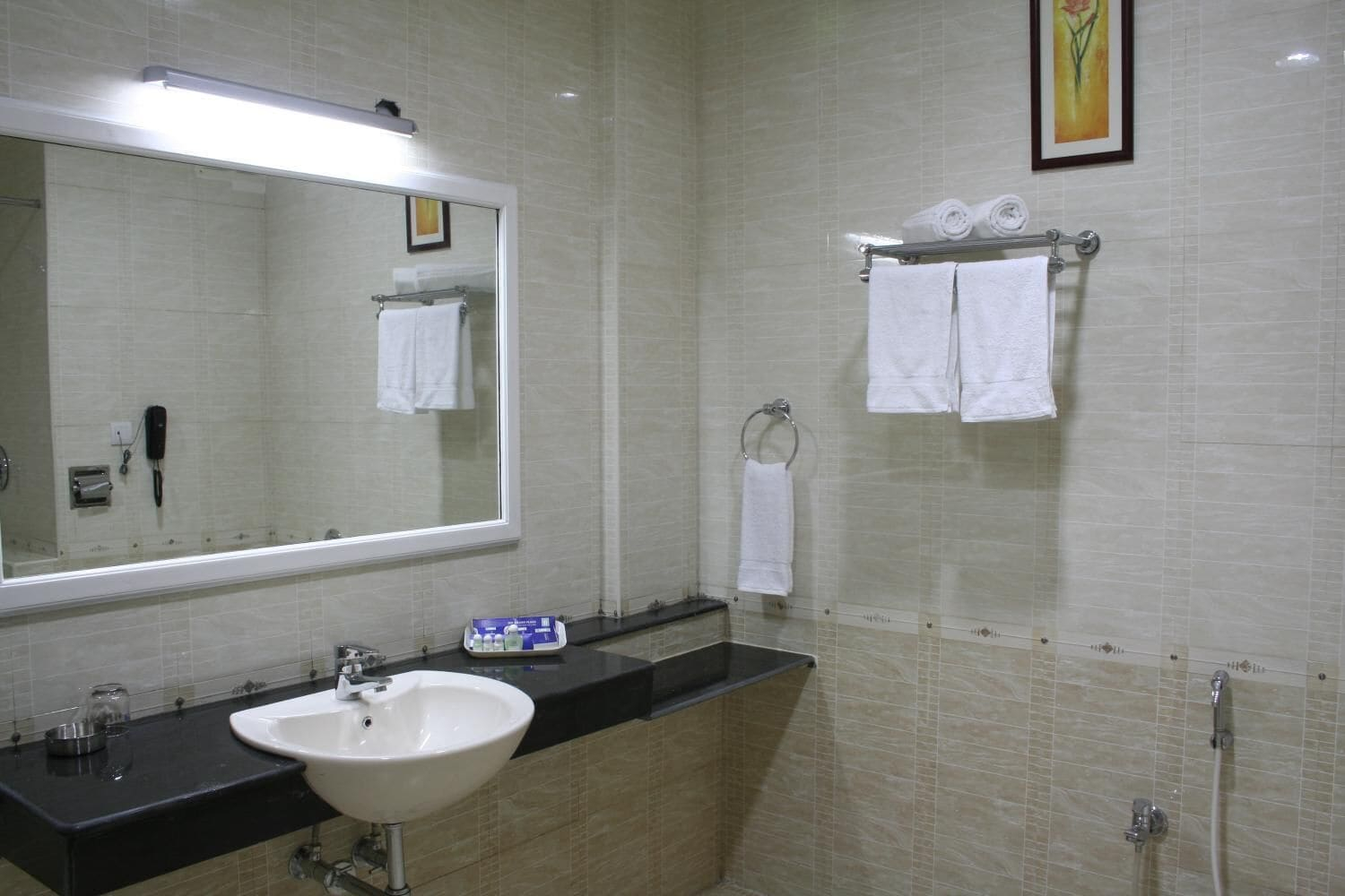 Bedroom 3, Hotel DSF GRand PLazas, Thoothukkudi