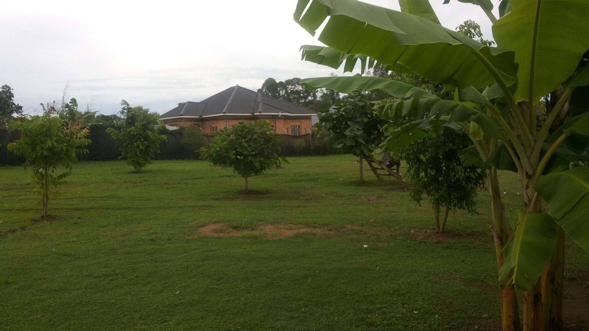 Garden 4, Lavic Country Resort, East Moyo