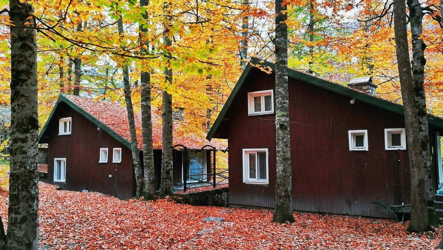 Exterior & Views 1, Habitat Mesire, Mengen