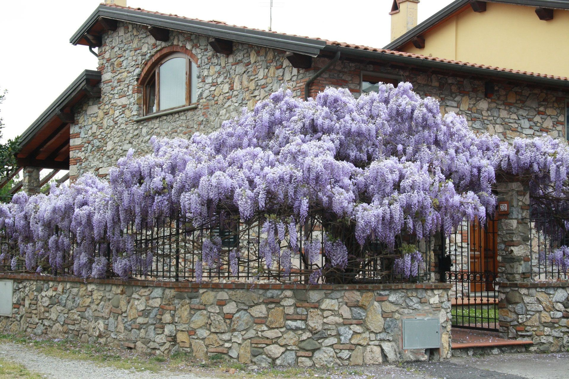 Exterior & Views 1, Pietra & Glicine B&B, Pistoia