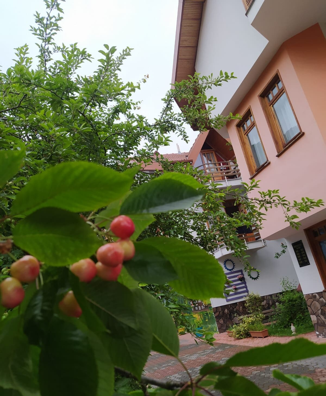 Bolu Yildiz Hotel, Merkez