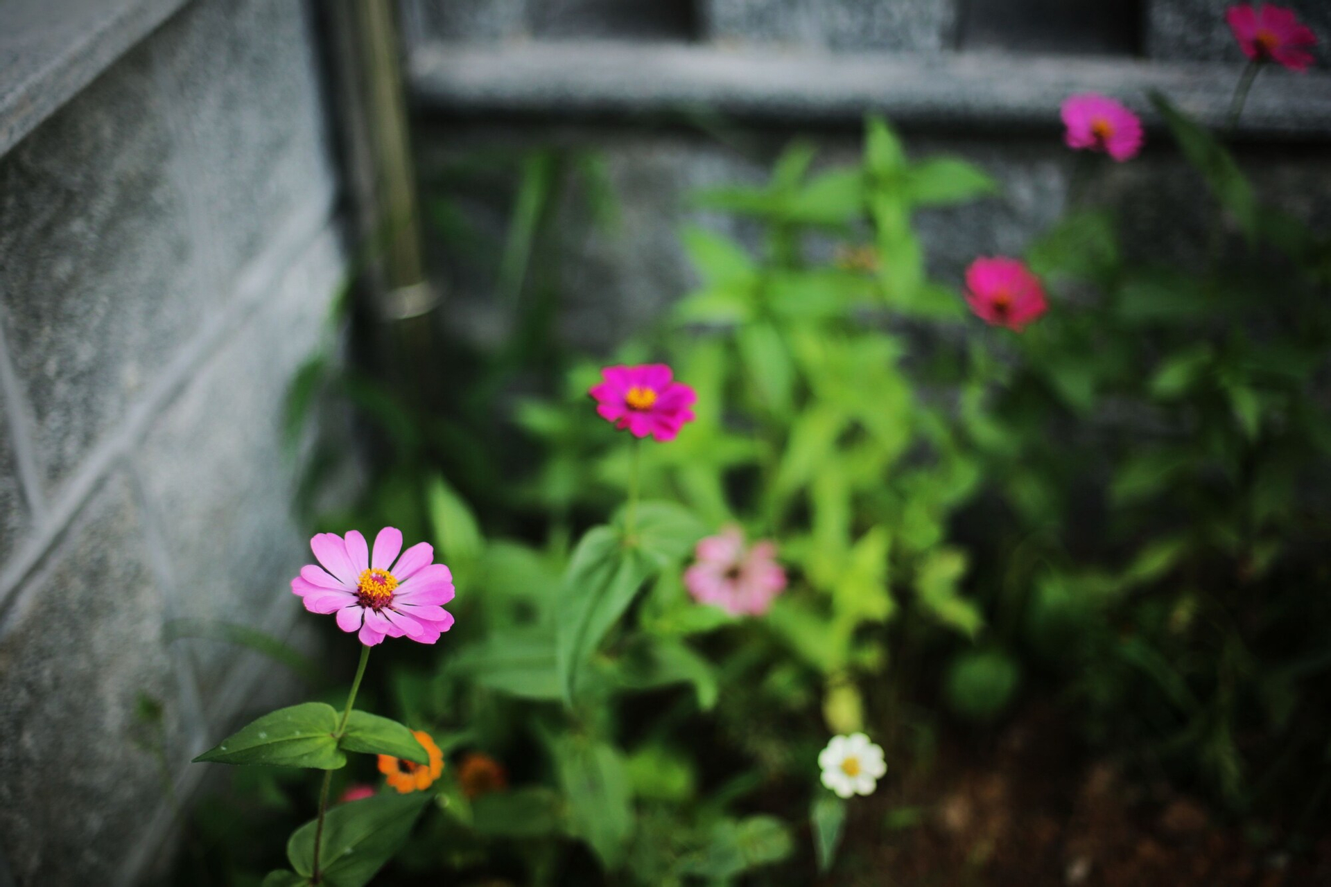 Exterior detail 3, Fleeting Time, Huzhou