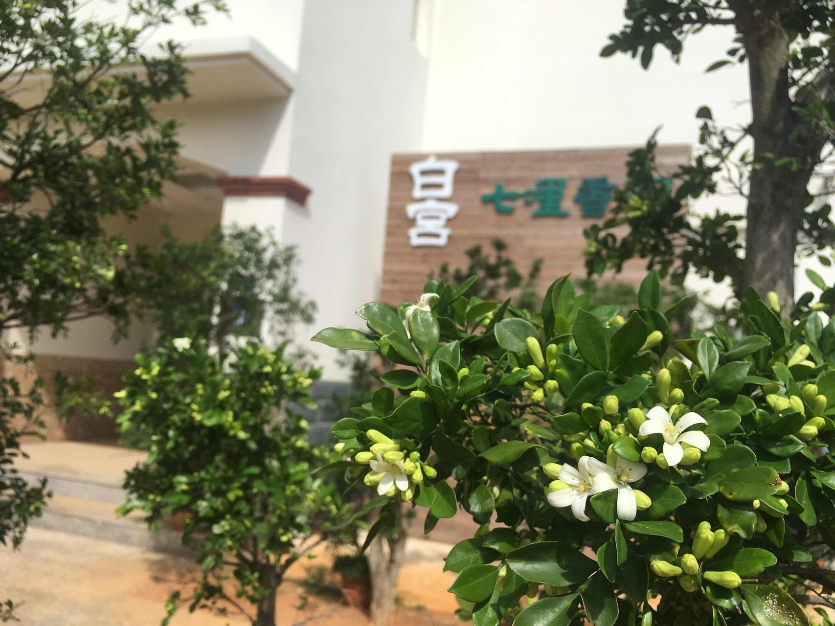 View from property, White House, Kinmen