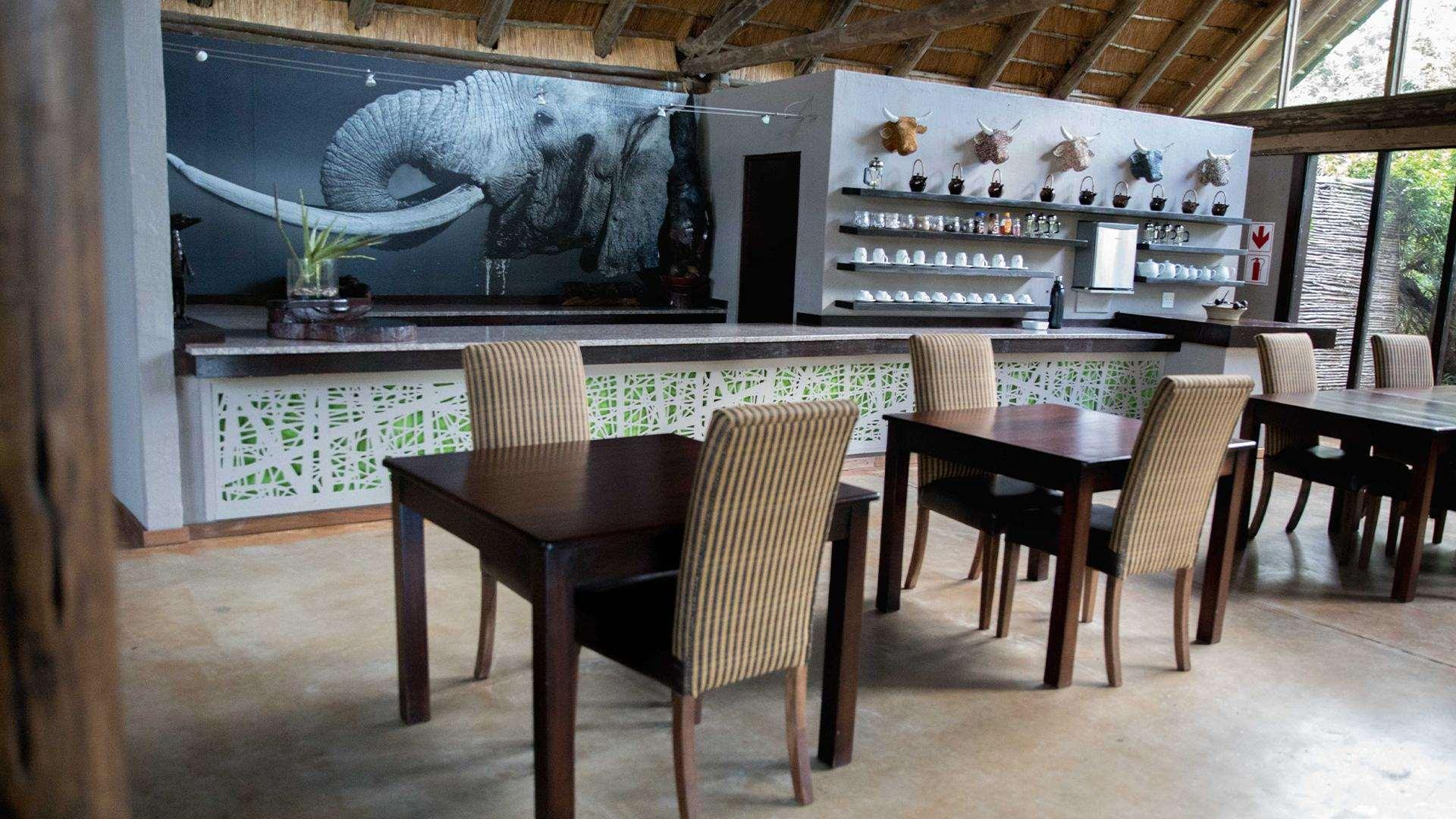 Food & Drinks 3, Royal Thonga Safari Lodge by Dream Resorts, Umkhanyakude