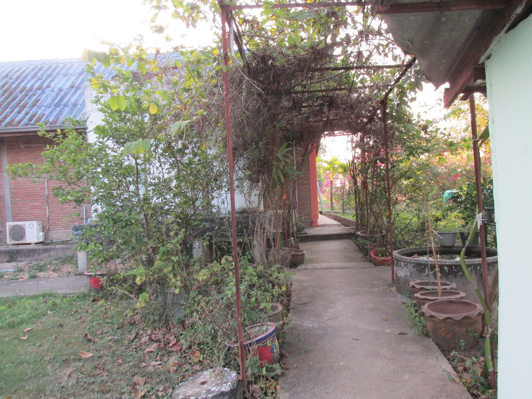 Property grounds 4, Moutain View Guest House, Muang Sukhothai