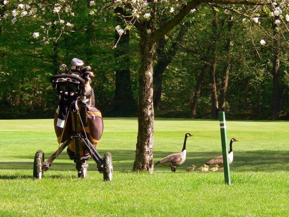 Golf, Romantik Hotel Walhalla, Osnabrück