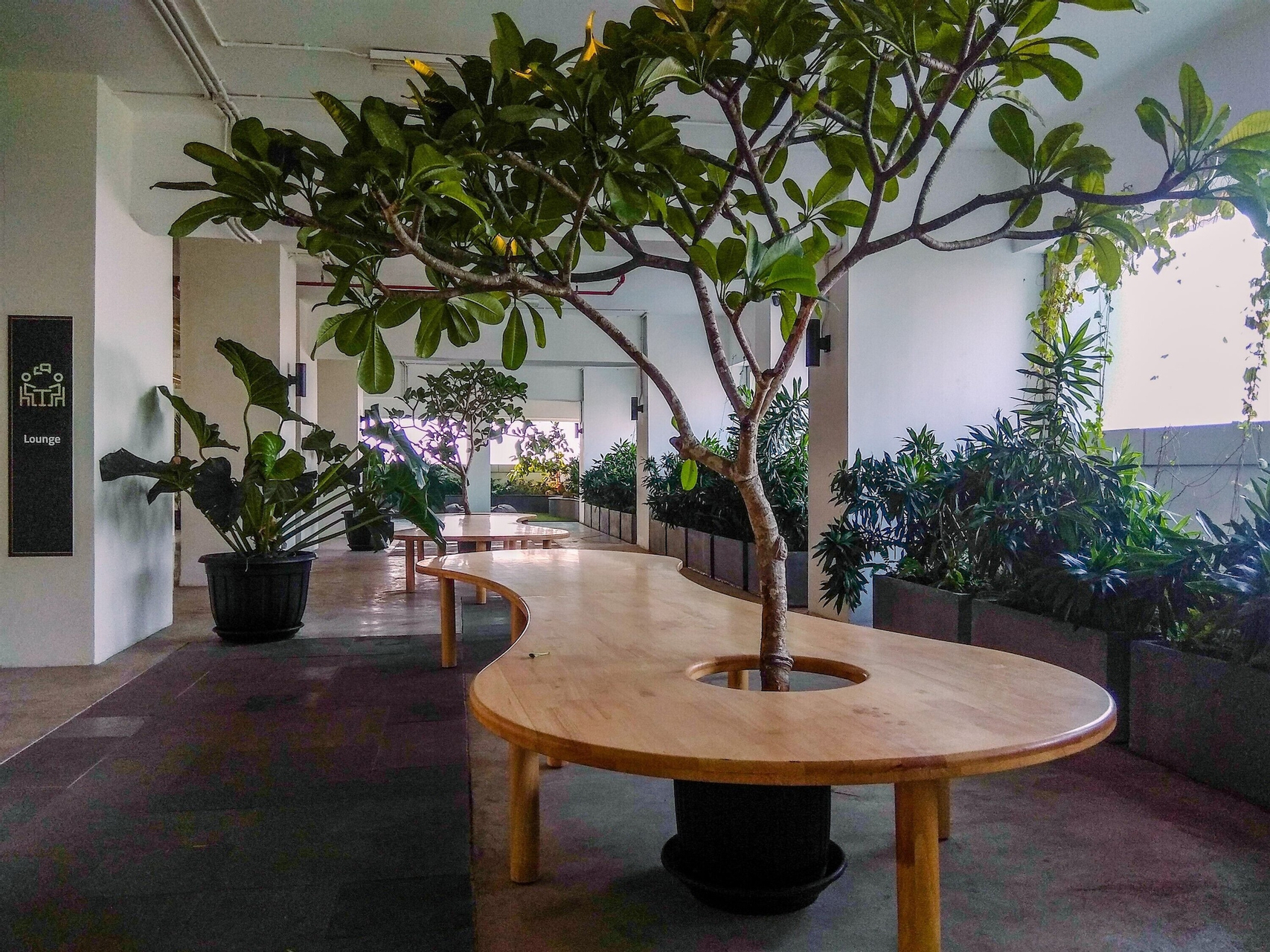 Public Area