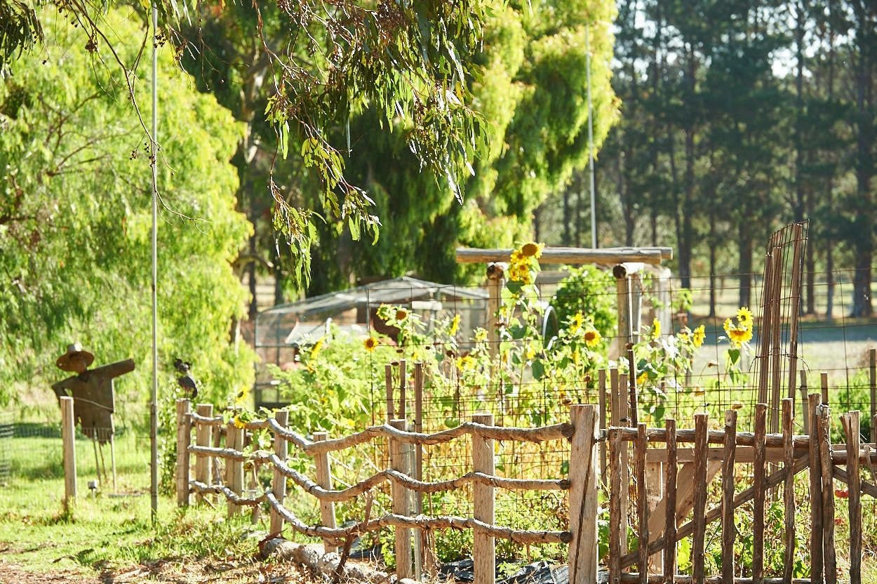 View from property 3, Olio Bello Lakeside Glamping, Augusta-Margaret River