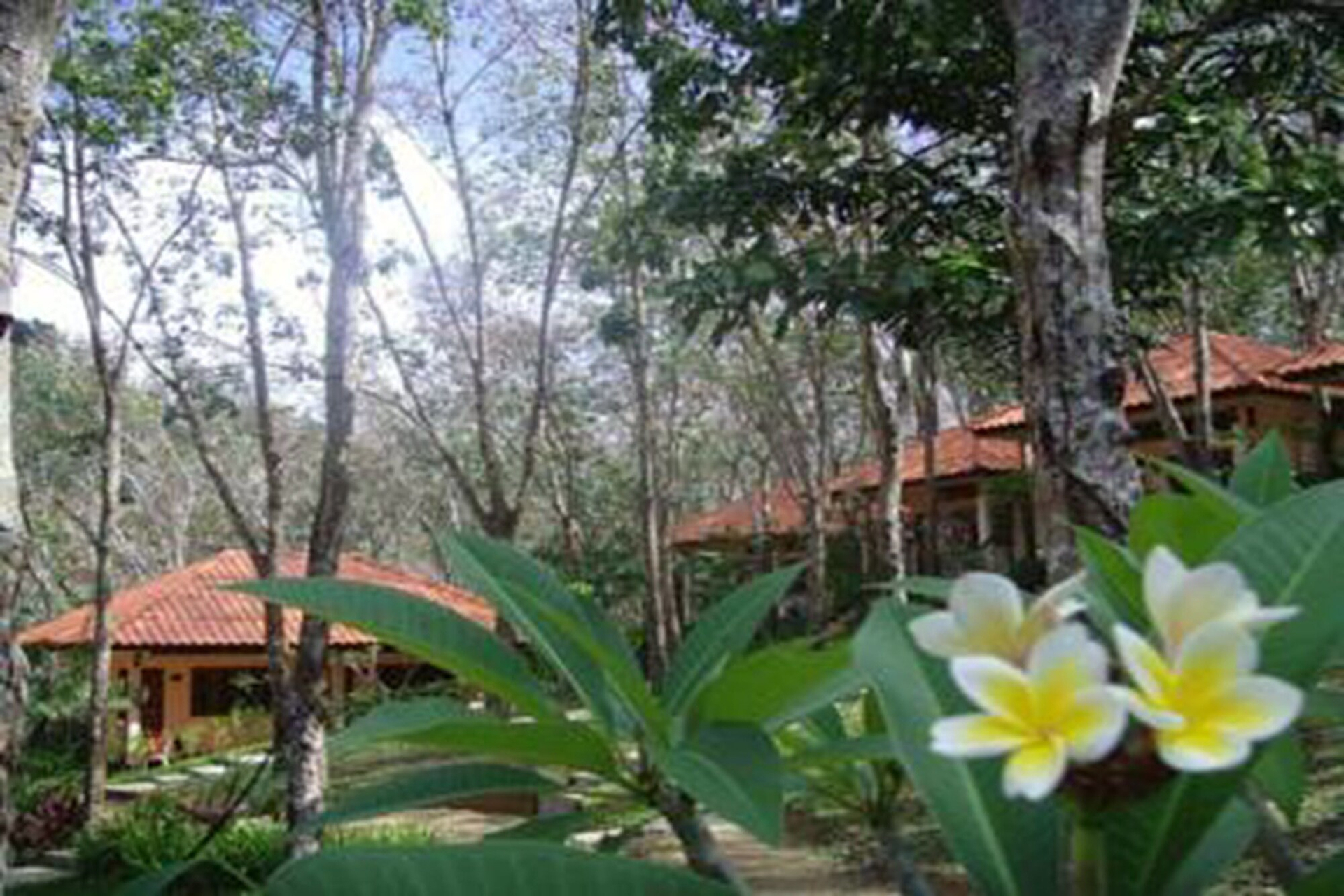 Garden 4, Koh Mook Rubertree Bungalow, Kantrang