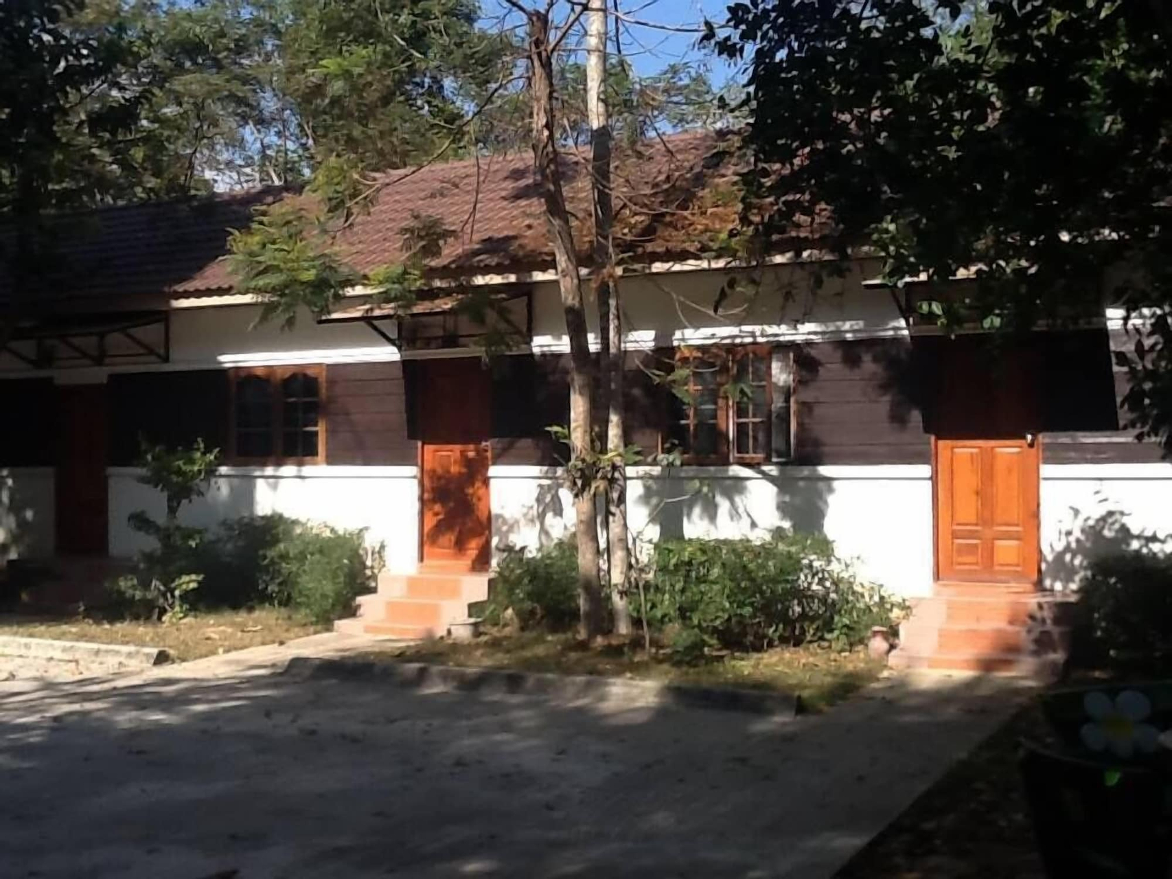 Forest, Muang Roi Et