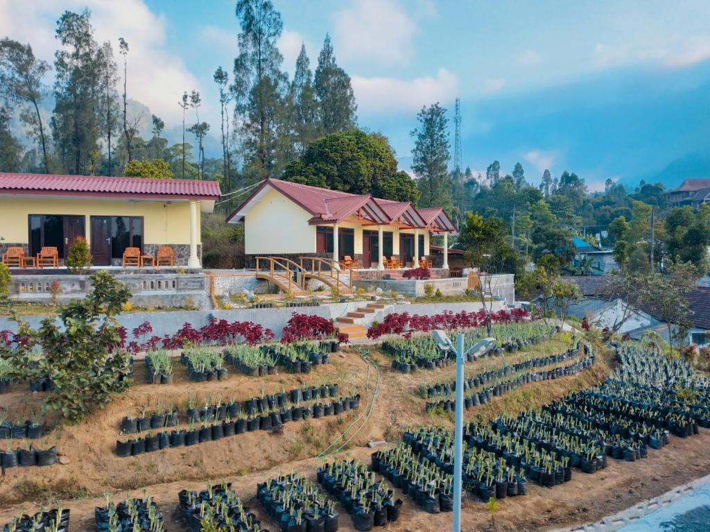 Others 4, A Quiet Bedroom Has Nice View, 15km from Bromo, Probolinggo